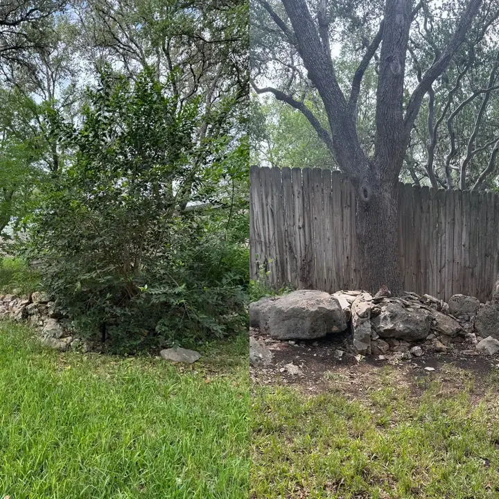 Landscaping And Debris Removal From The Yard Along With Clearing Overgrown Vegetation Near The Fence And Rocks
