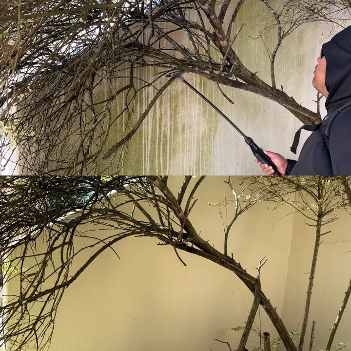 The Service Being Done Is Pressure Washing A Wall To Remove Dirt And Mildew From The Surface